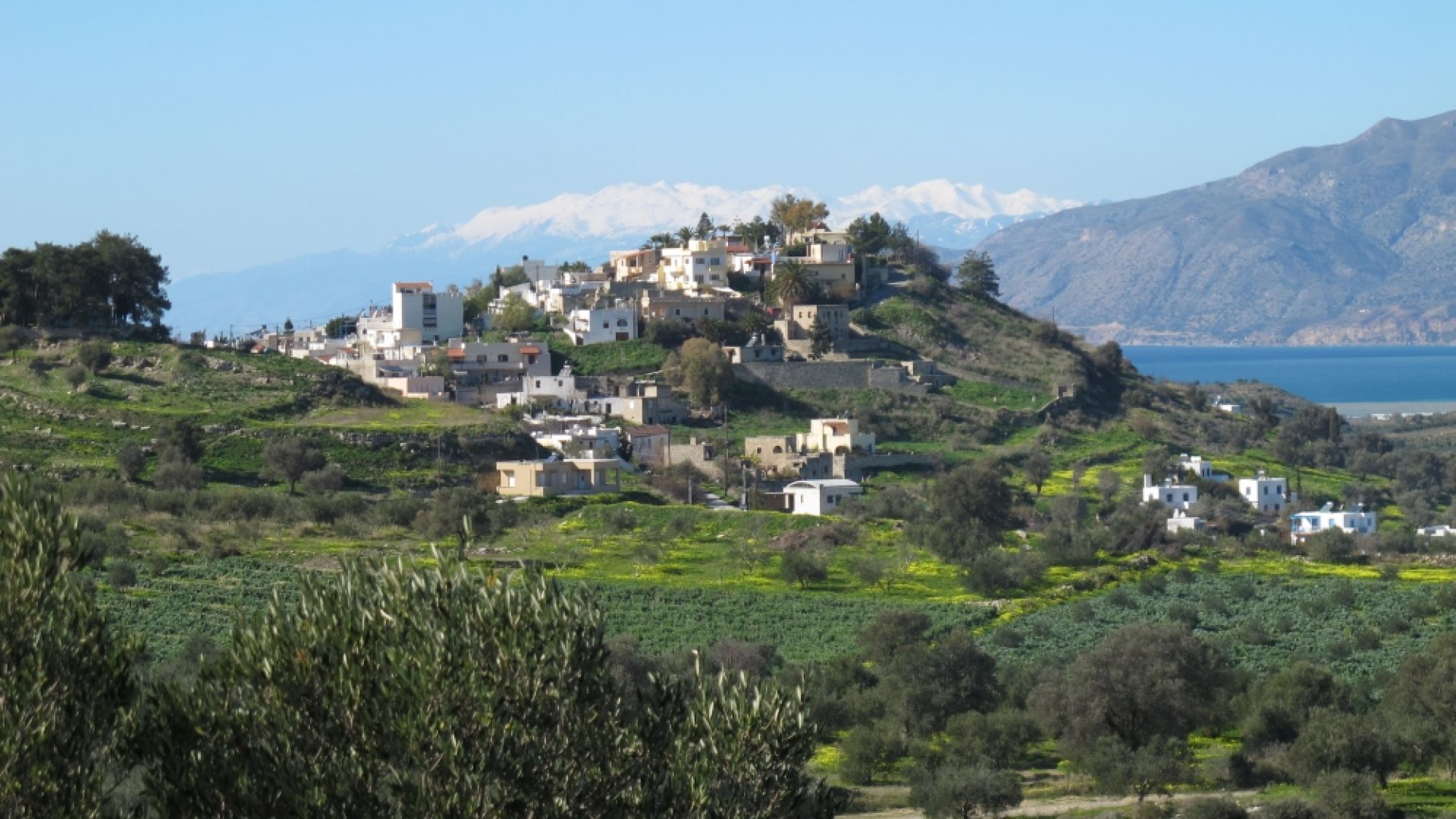 Καμηλάρι